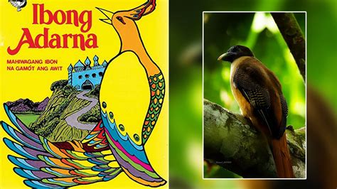  Ang Ibong Adarna: Un Chant Mystique, une Quête Épique !